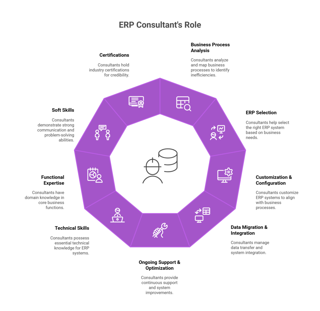 erp software consultant