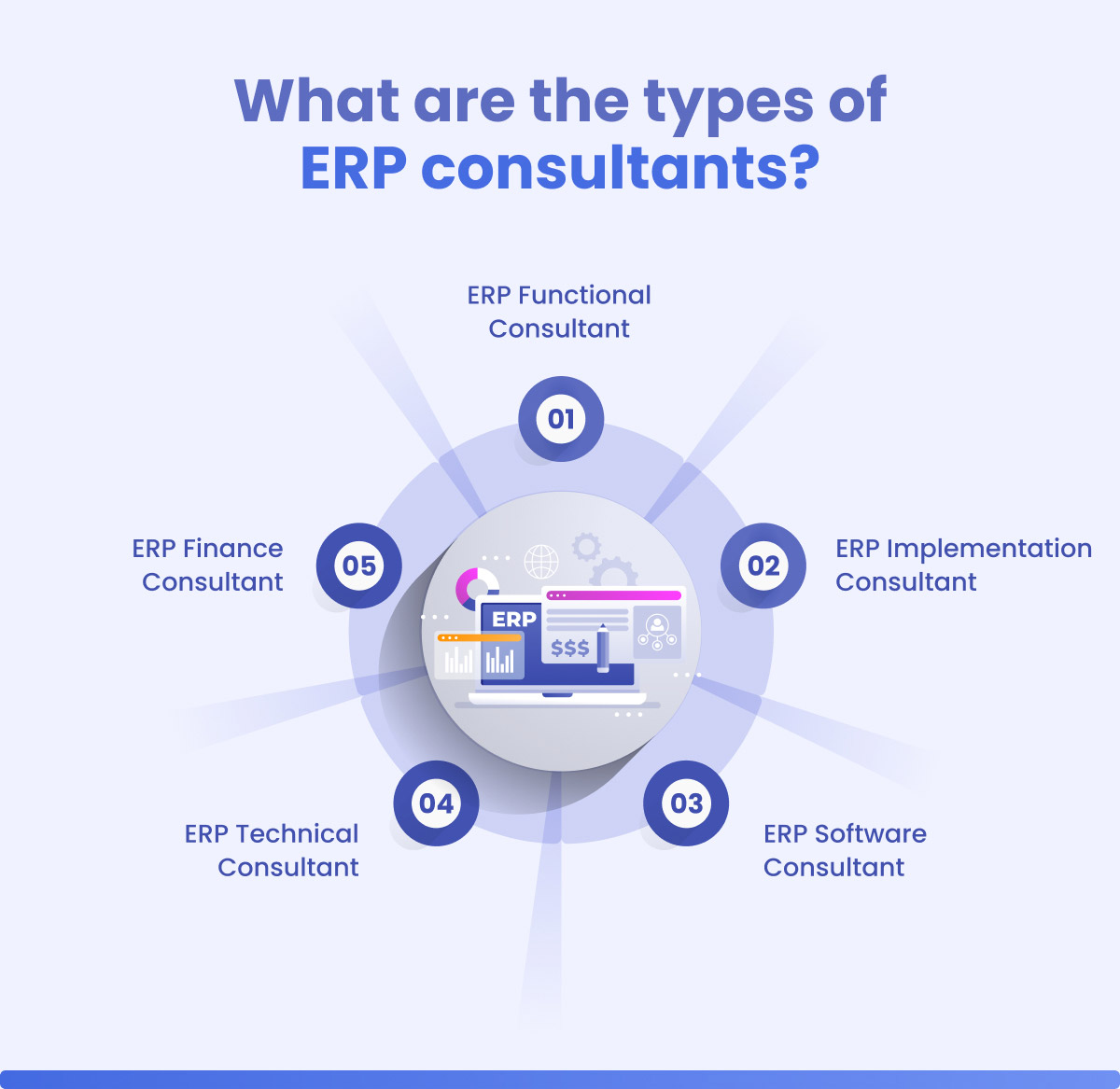 what are the types of erp consultants?