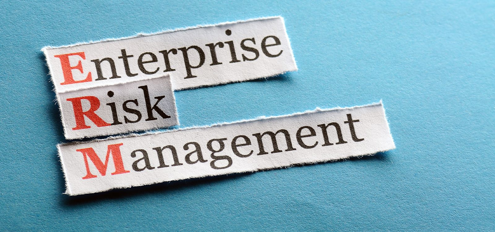 what-is-enterprise-risk-management-erm