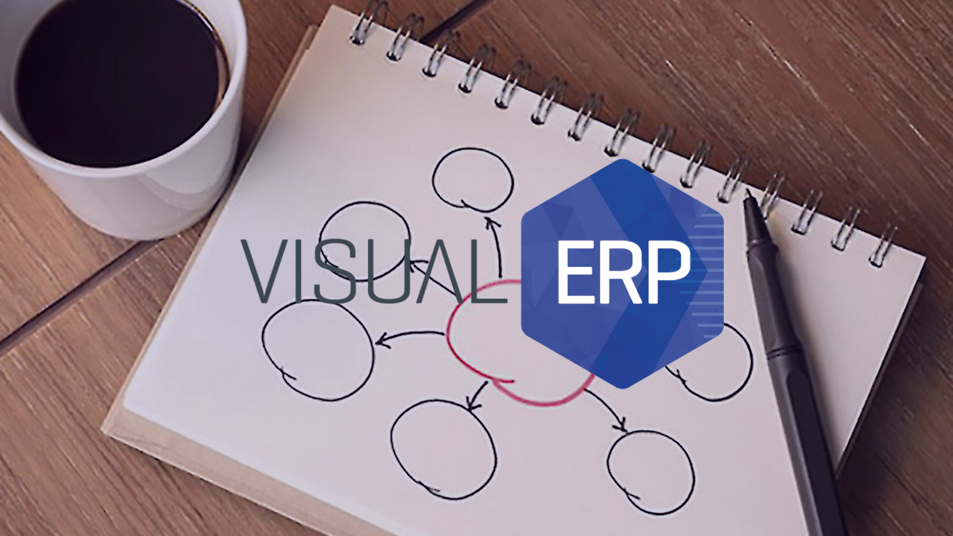 Visual ERP Software