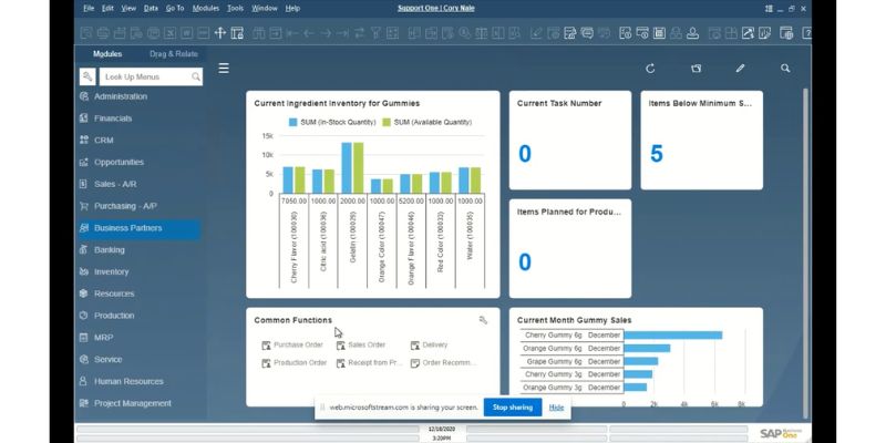 sap business one