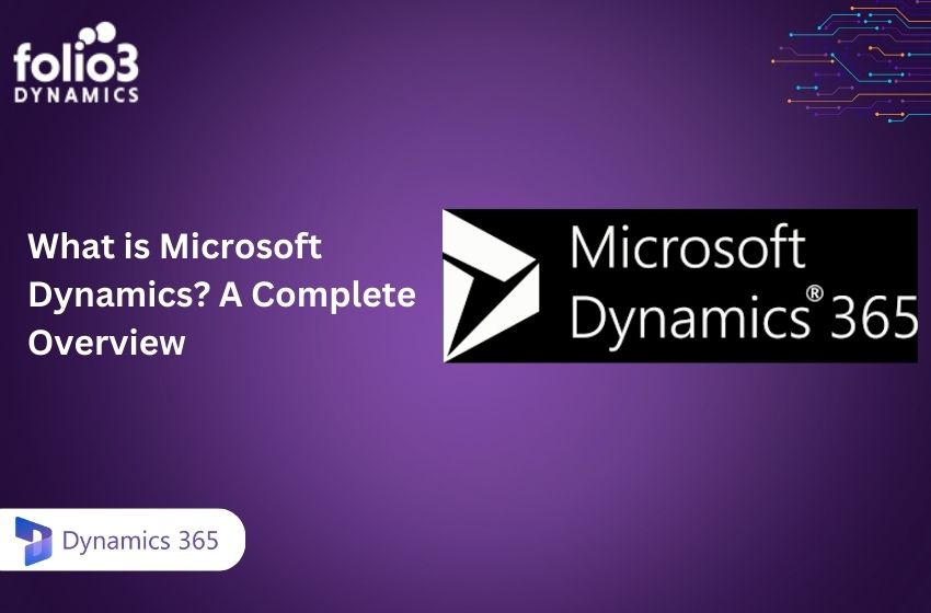 what is microsoft dynamics