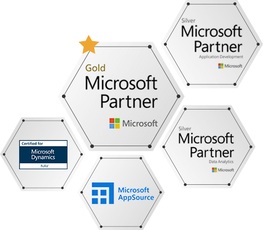 Microsoft Dynamics Partner