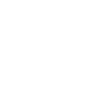 woo_logo